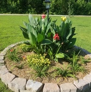 Meet your Posher, Meagan